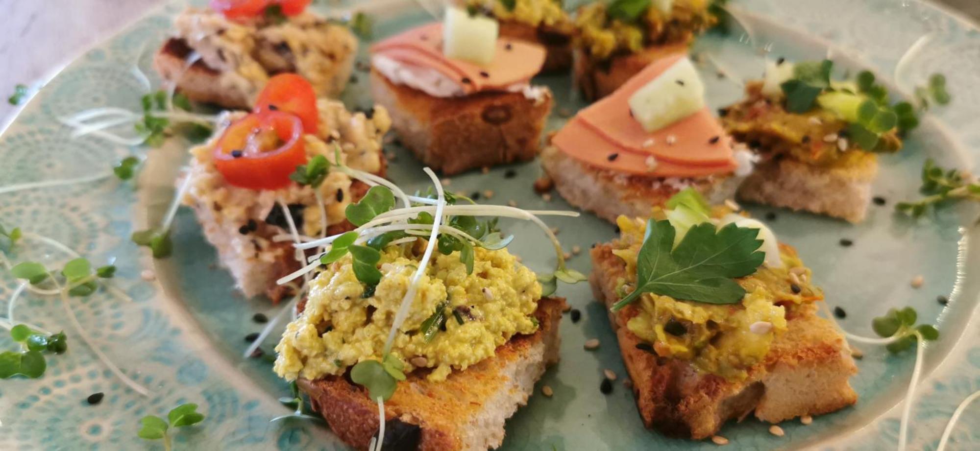 The Base Vegan Retreat Animal Sanctuary