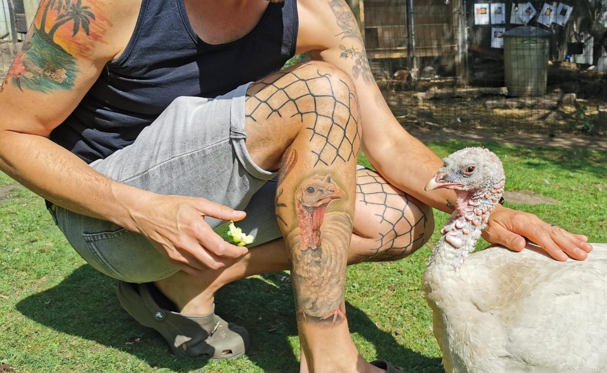 The Base Vegan Retreat Animal Sanctuary Гостевой дом