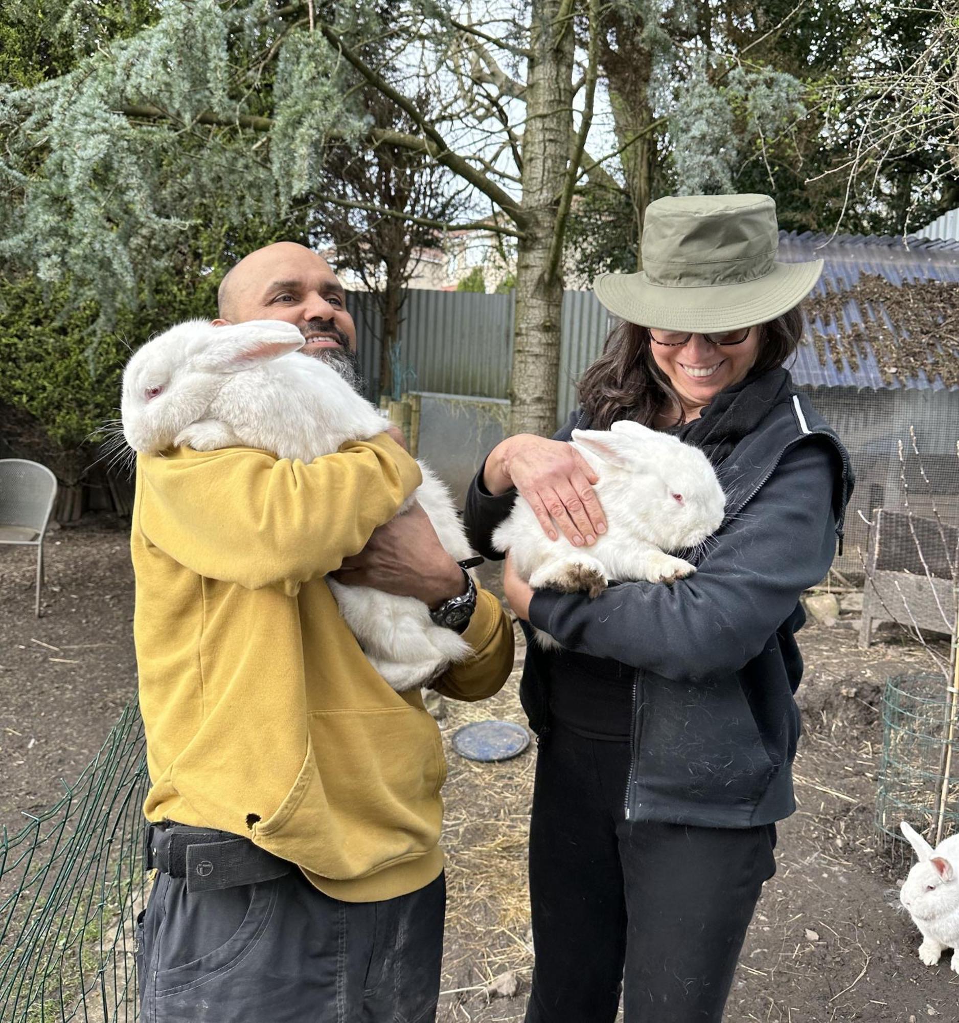The Base Vegan Retreat Animal Sanctuary *