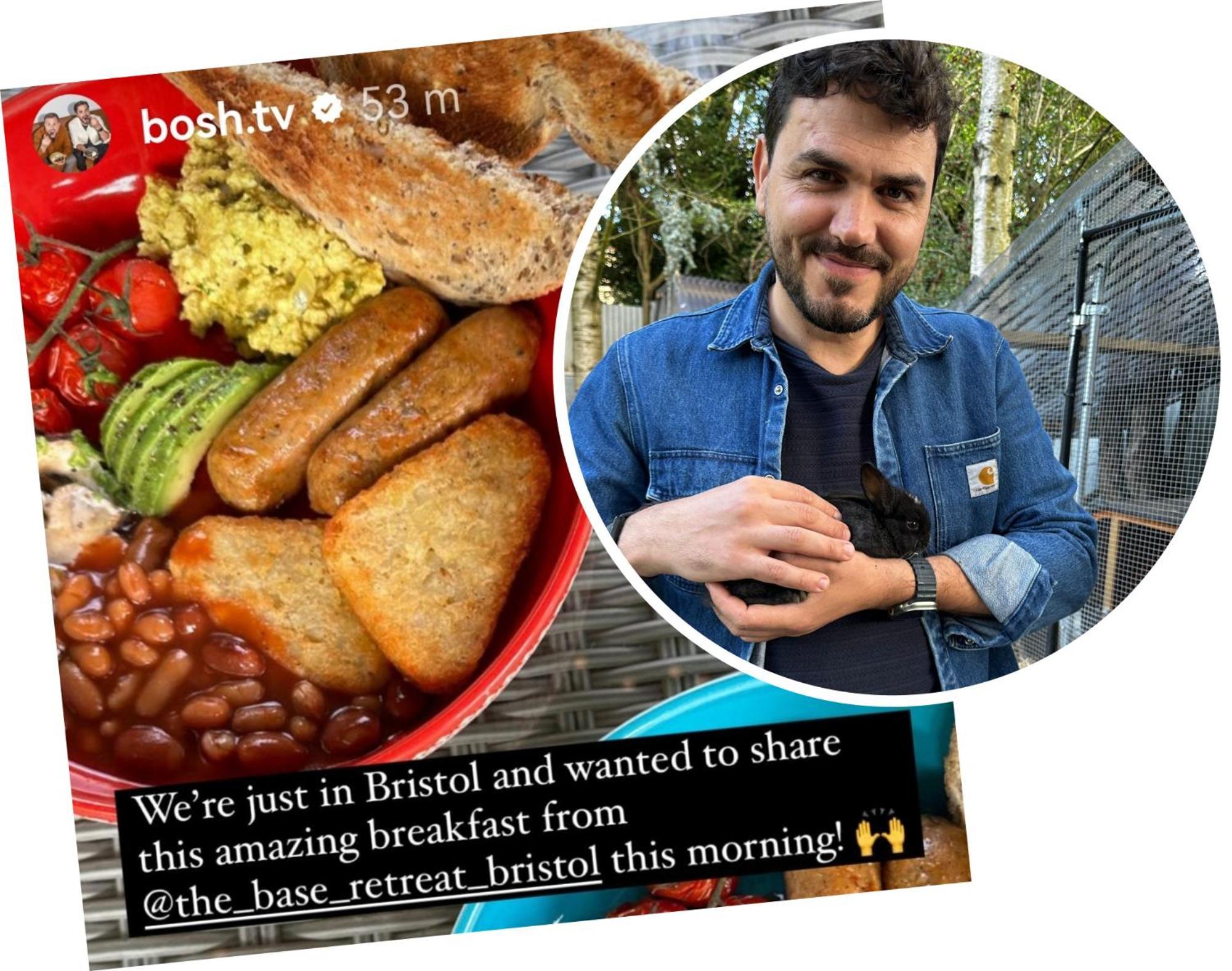 The Base Vegan Retreat Animal Sanctuary
