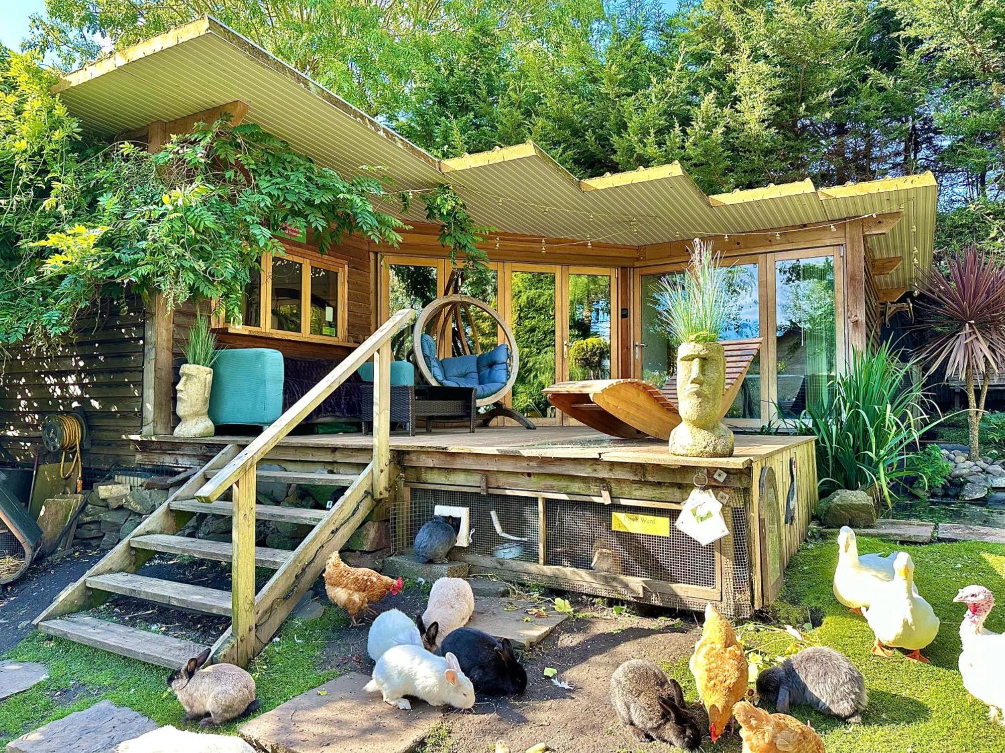 The Base Vegan Retreat Animal Sanctuary Гостевой дом *