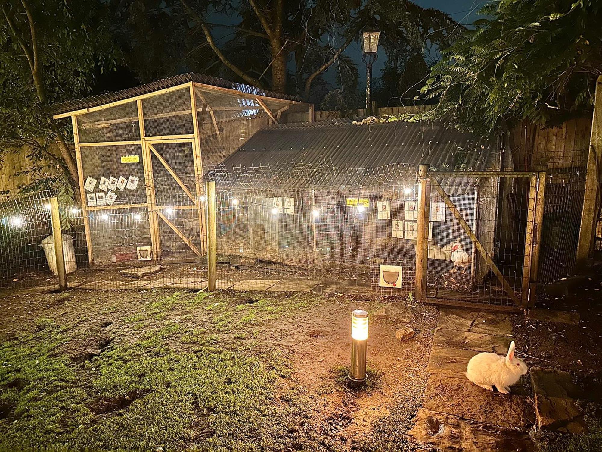 The Base Vegan Retreat Animal Sanctuary Гостевой дом *